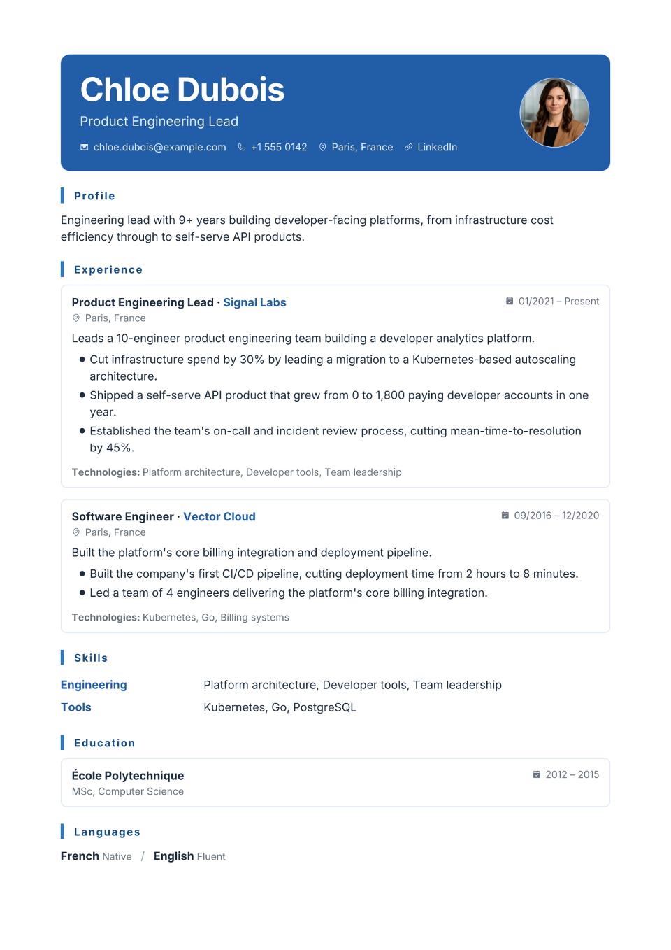 Sales Manager resume example preview